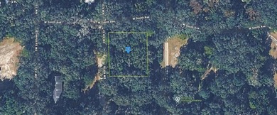 Tuscawilla Lake Lot For Sale in Micanopy Florida
