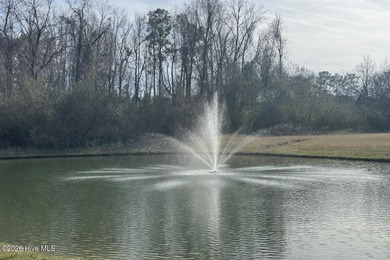 Brand new construction home in the exclusive gated community of - photo 2