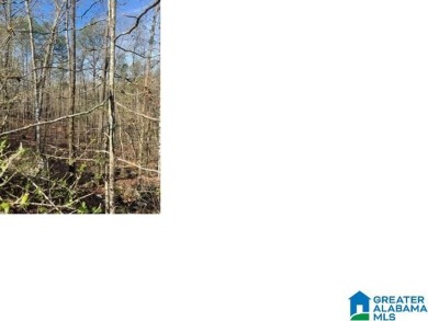 Logan Martin Lake Lot For Sale in Alpine Alabama