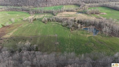 Located in Adair County, this 102+/- acre property offers a - photo 12