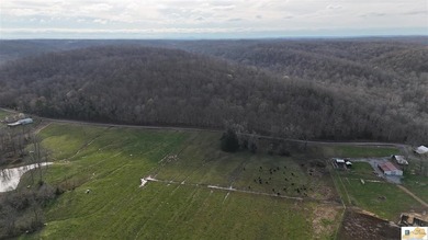 Located in Adair County, this 102+/- acre property offers a - photo 13