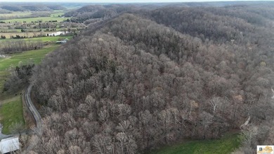 Located in Adair County, this 102+/- acre property offers a - photo 14