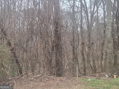 (private lake, pond, coastal) Lot For Sale in Mableton Georgia