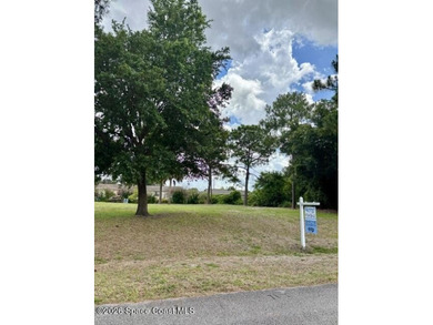 Lot already cleared of underbrush - now available! Land - photo 1