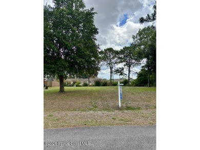 Lot already cleared of underbrush - now available! Land - photo 2