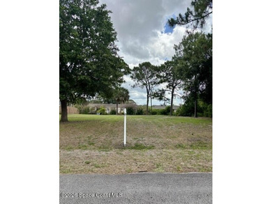 Lot already cleared of underbrush - now available! Land - photo 3