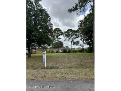 Lot already cleared of underbrush - now available! Land - photo 4