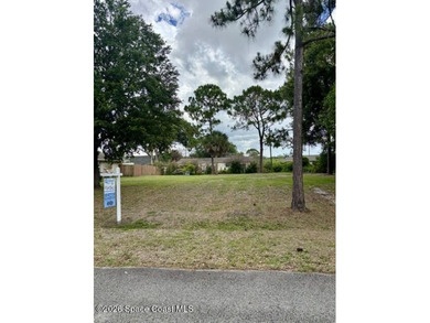 Lot already cleared of underbrush - now available! Land - photo 5