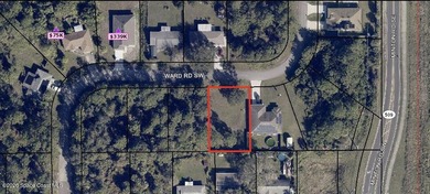 Lot already cleared of underbrush - now available! Land - photo 6