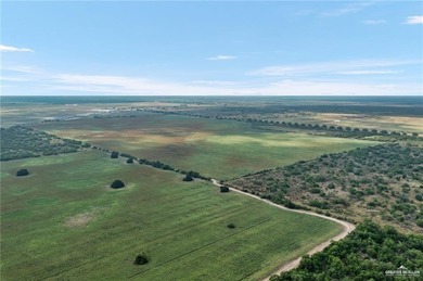 (private lake, pond, coastal) Acreage For Sale in Edinburg Texas