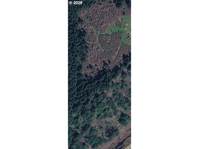 Rare 12-acre wooded parcel offers a chance to own a significant - photo 1