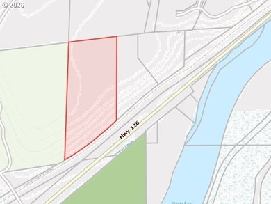 Rare 12-acre wooded parcel offers a chance to own a significant - photo 5