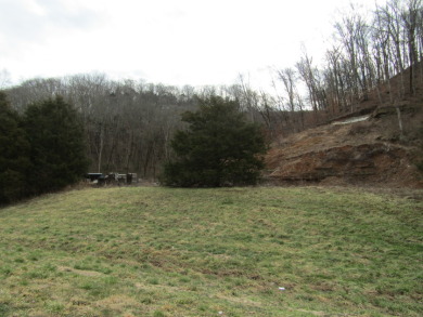 2.31 AC SURROUNDED BY STATE PRO RESD OR COM ZONE - Lake Acreage Under Contract in Celina, Tennessee