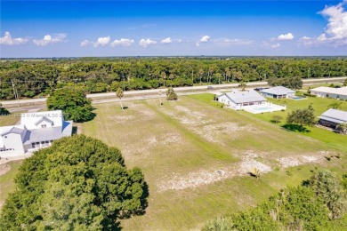 Lake Lot For Sale in Okeechobee, Florida