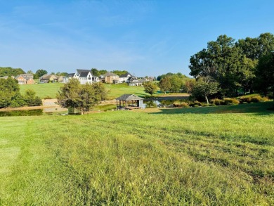 Lake Lot For Sale in Blountville, Tennessee