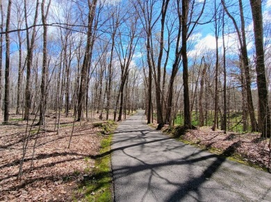 Butternut Lake Lodge - Successful Resort Property in Price County - photo 18