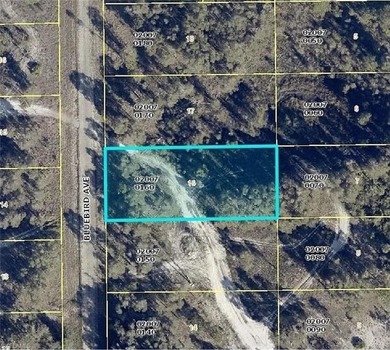 Lehigh Acres Area Lot For Sale in Lehigh Acres Florida