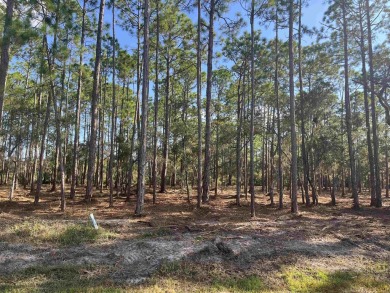 (private lake, pond, creek) Lot For Sale in Ochlockonee Bay Florida