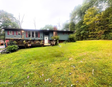 Lake Home For Sale in Roaring Spring, Pennsylvania