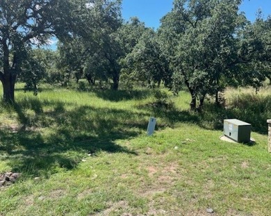 Build your dream home on this beautiful homesite in Horseshoe - photo 3