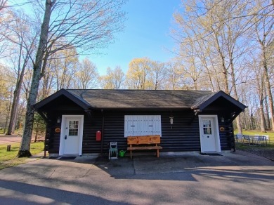 Butternut Lake Lodge - Successful Resort Property in Price County - photo 8