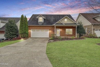 Lake Home For Sale in Blountville, Tennessee
