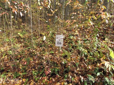 (private lake, pond, coastal) Acreage For Sale in Mars Hill North Carolina