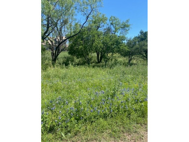 Build your dream home on this beautiful homesite in the - photo 1