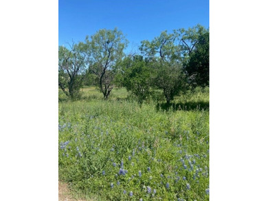 Build your dream home on this beautiful homesite in the - photo 2