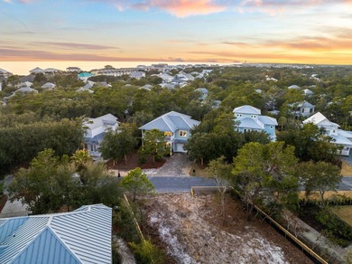 Positioned in the heart of Inlet Beach with the rare advantage - photo 54