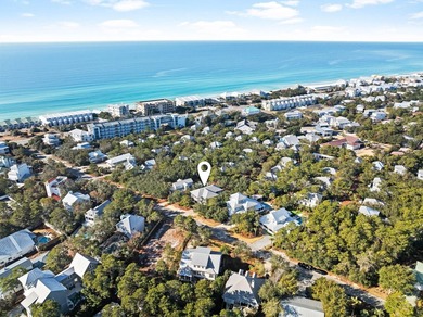 Positioned in the heart of Inlet Beach with the rare advantage - photo 57