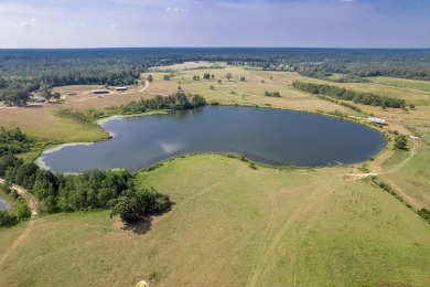 Lake Home For Sale in Poplarville, Mississippi