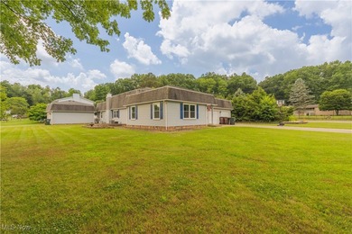 Lake Home For Sale in Massillon, Ohio