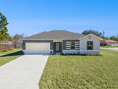 Lake Marion - Polk County Home For Sale in Kissimmee Florida