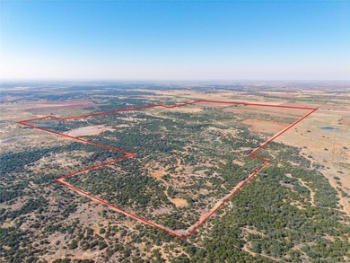 PRICE REDUCTION! 865.9 Acres High-Fenced Ranch with 8-Acre Lake - photo 4