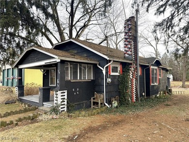 Portage Lakes - East Reservoir Home For Sale in Akron Ohio