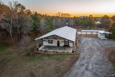 Lake Home For Sale in Ashville, Alabama