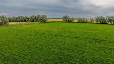 This property is located in the heart of Broadwater County - photo 11