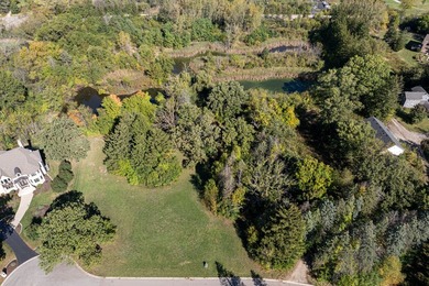(private lake, pond, creek) Lot For Sale in Long Grove Illinois