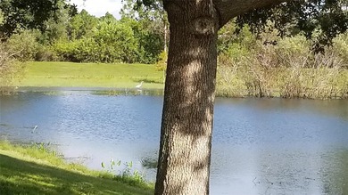 No HOAs with fees or deed restrictions or CDDs. Not on the North - photo 32
