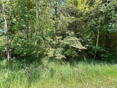 (private lake, pond, creek) Acreage For Sale in Beaverton Michigan