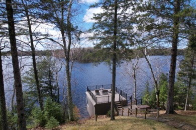 Butternut Lake Lodge - Successful Resort Property in Price County - photo 11