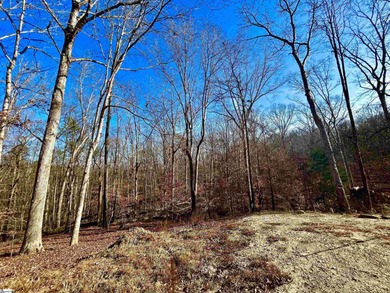 Lake Hartwell Lot For Sale in Westminster South Carolina