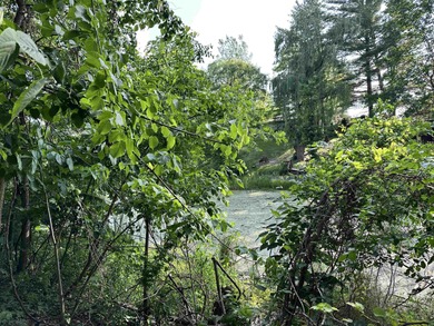 (private lake, pond, creek) Acreage For Sale in Beaverton Michigan