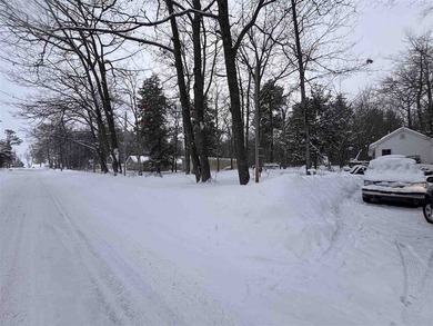 Paradise Lake - Emmet County Home For Sale in Carp Lake Michigan