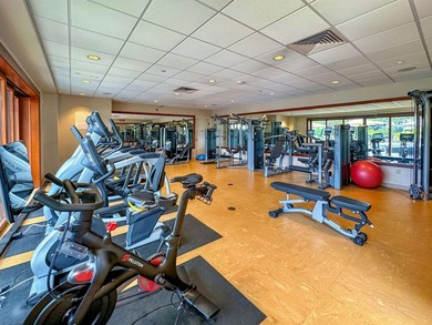 Welcome to Wailea Beach Villas Penthouse 209, one of Wailea's - photo 26