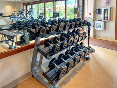 Welcome to Wailea Beach Villas Penthouse 209, one of Wailea's - photo 27