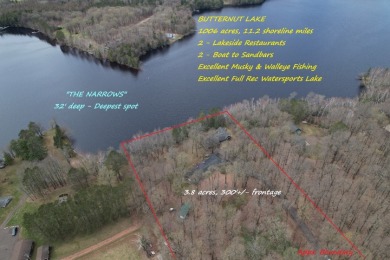 Butternut Lake Lodge - Successful Resort Property in Price County - photo 2
