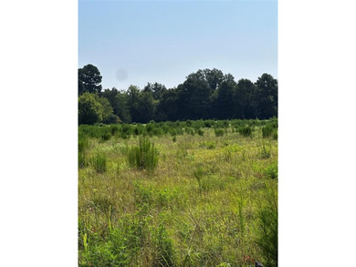 Lake Acreage For Sale in Daingerfield, Texas