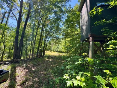 *Secluseval Plantation* a 4,000+/- sq. ft. antebellum home built - photo 3